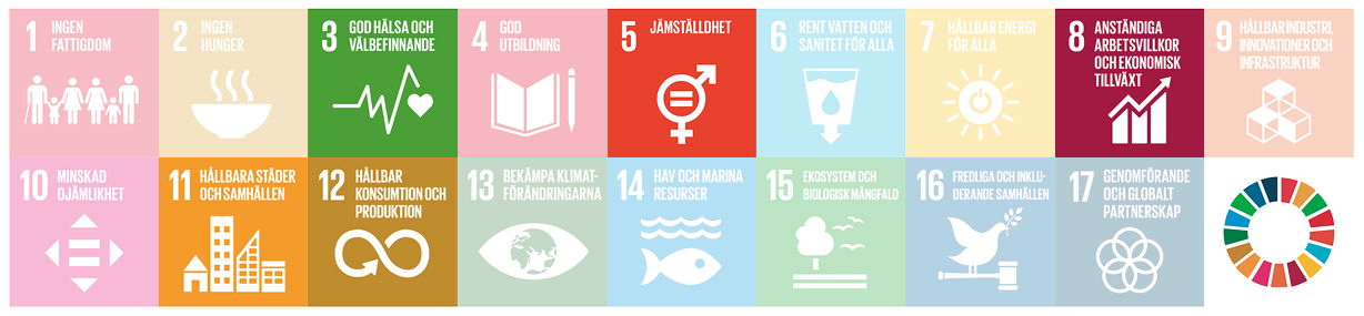 hallbarhet_goals